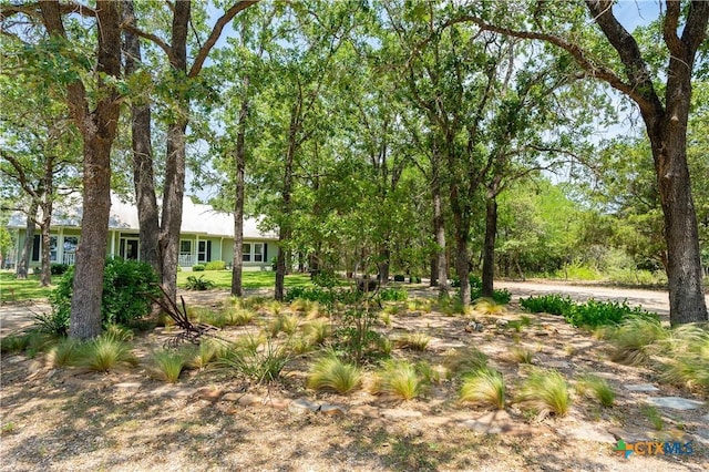 11525 Fm 86, Lockhart, TX 78644 - photo 37