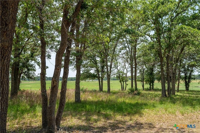 11525 Fm 86, Lockhart, TX 78644 - photo 42