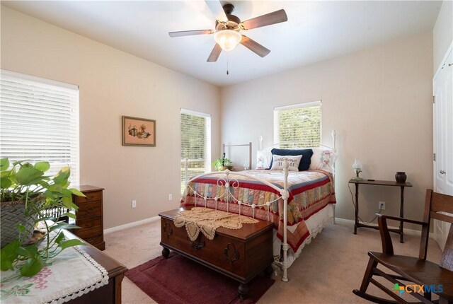 11525 Fm 86, Lockhart, TX 78644 - photo 23