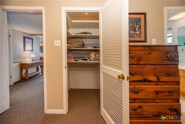 view of closet