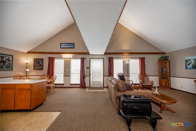 carpeted living room with high vaulted ceiling and plenty of natural light