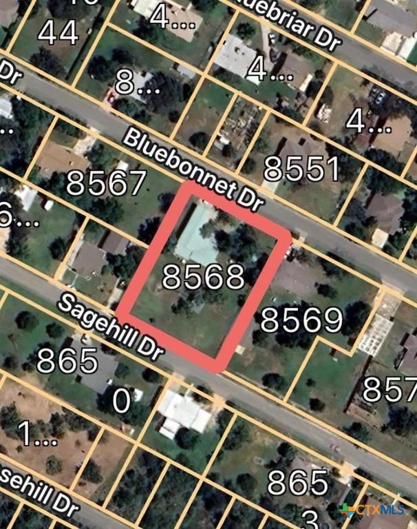 222 Bluebonnet Dr, Granite Shoals, TX 78654 - photo 3