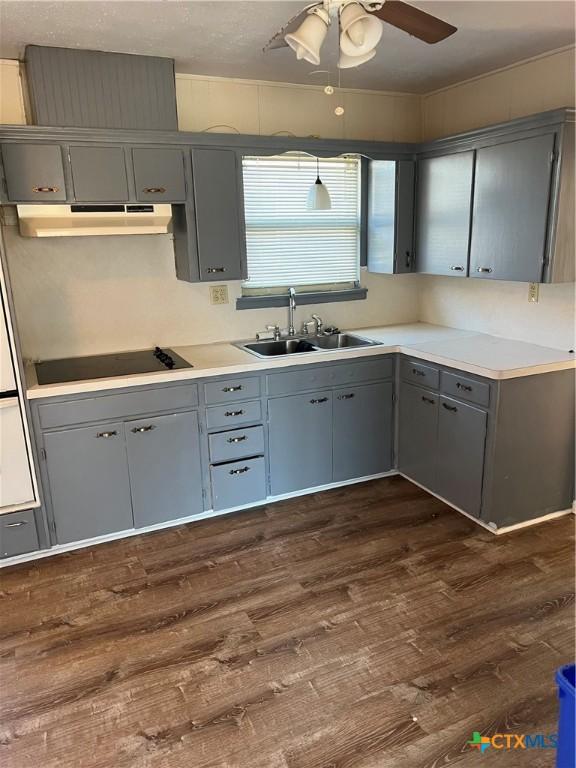 kitchen featuring sink, black electric cooktop, dark hardwood / wood-style flooring, gray cabinets, and ceiling fan