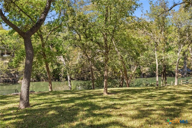 888 Pecan St, Canyon Lake, TX 78133 - photo 22