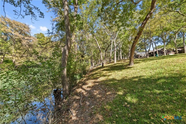 888 Pecan St, Canyon Lake, TX 78133 - photo 25
