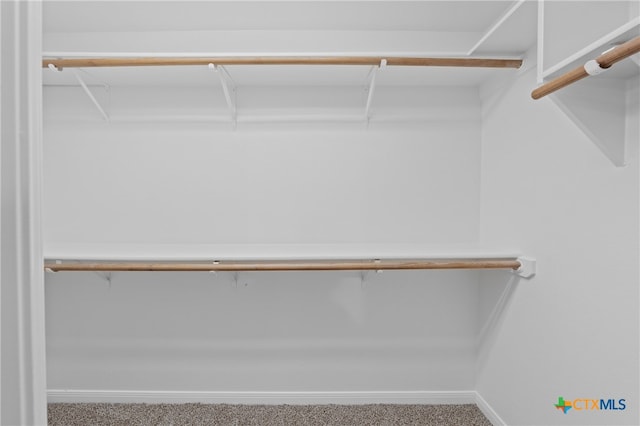 spacious closet featuring carpet flooring