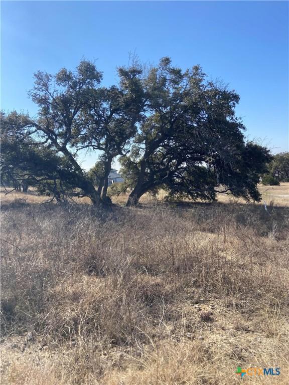 713 Fossil Springs Dr, Bulverde TX, 78163 land for sale