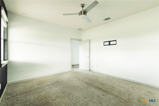 324 Millbrook Blvd, San Marcos, TX 78666 - photo 23