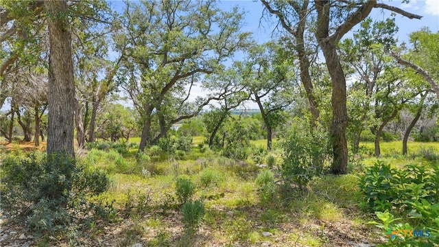 2159 Andalusia, Canyon Lake, TX 78133