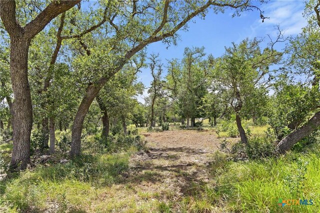 2159 Andalusia, Canyon Lake, TX 78133