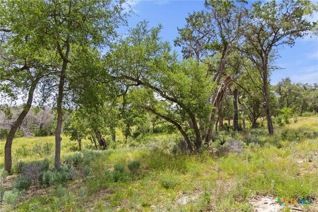 2159 Andalusia, Canyon Lake, TX 78133