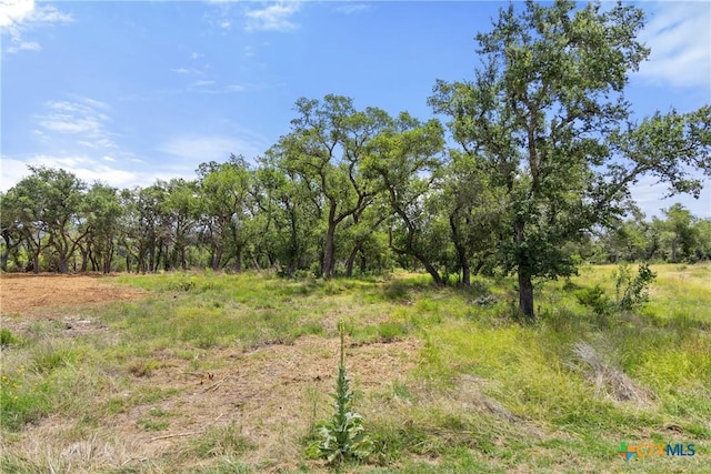 2159 Andalusia, Canyon Lake, TX 78133