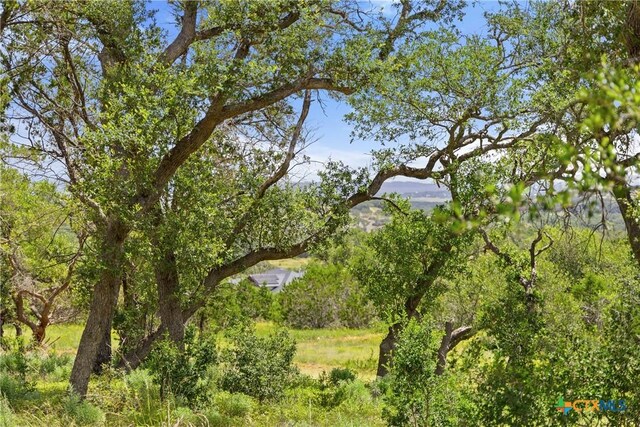 2159 Andalusia, Canyon Lake, TX 78133