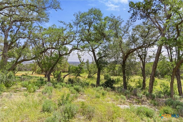 2159 Andalusia, Canyon Lake, TX 78133