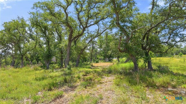 2159 Andalusia, Canyon Lake, TX 78133