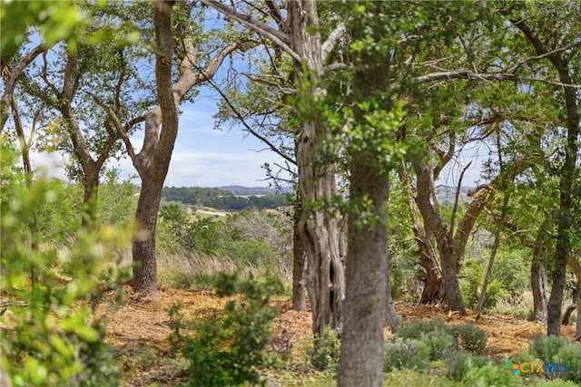 2159 Andalusia, Canyon Lake, TX 78133