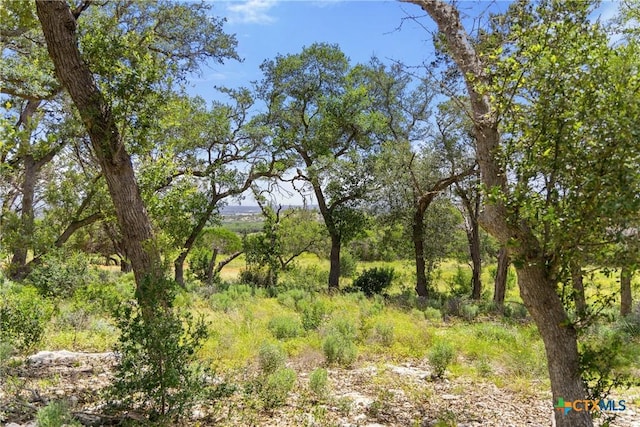 2159 Andalusia, Canyon Lake, TX 78133