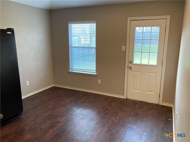 doorway with dark hardwood / wood-style floors and a wealth of natural light