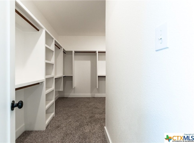 walk in closet featuring dark carpet