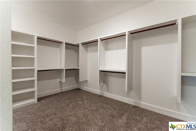 walk in closet with dark carpet