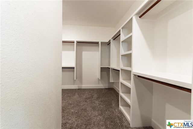 walk in closet with dark carpet