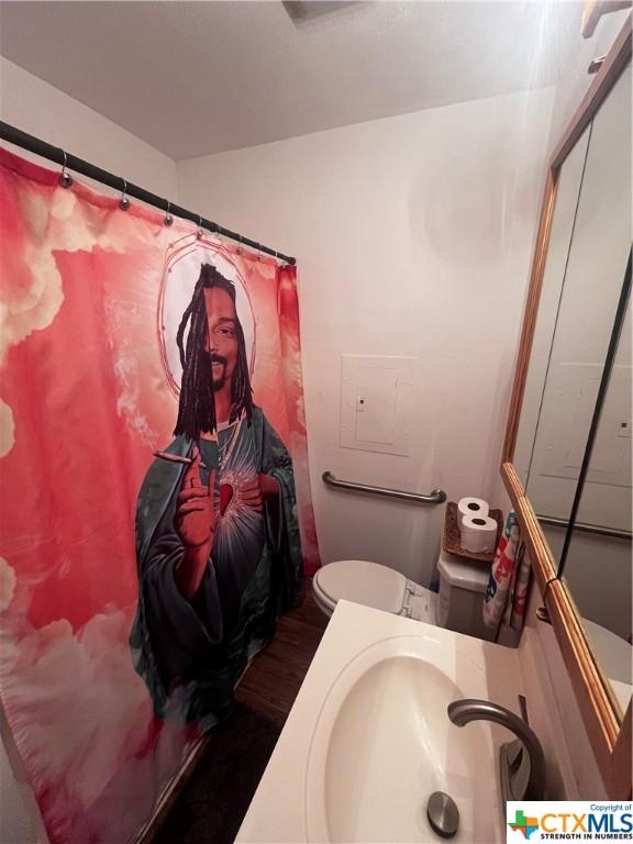 bathroom with wood finished floors, vanity, a shower with shower curtain, and toilet