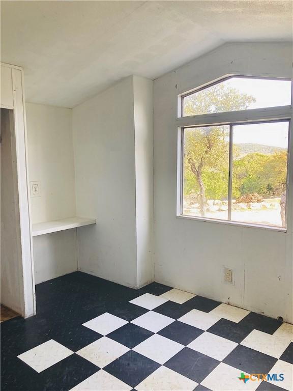 empty room featuring lofted ceiling and a healthy amount of sunlight