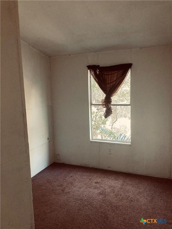 spare room with carpet flooring