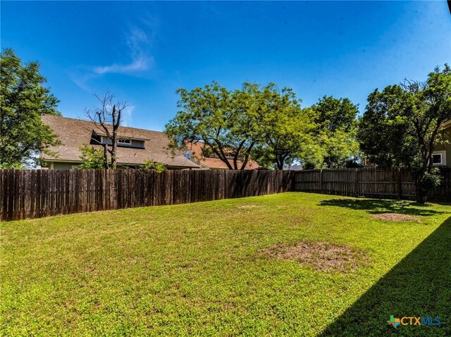 207 Yale St, San Marcos, TX 78666 - view of yard