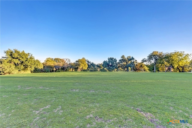 view of community with a lawn