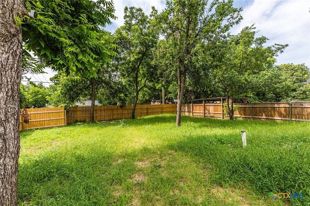 1700 Proctor Ave, Waco, TX 76708 - view of yard