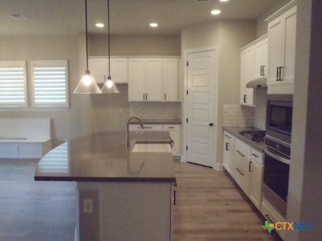 791 Hazy Hills Loop, Dripping Springs, TX 78620 - kitchen featuring light wood-type flooring, recessed lighting, decorative backsplash, white cabinetry, and appliances with stainless steel finishes