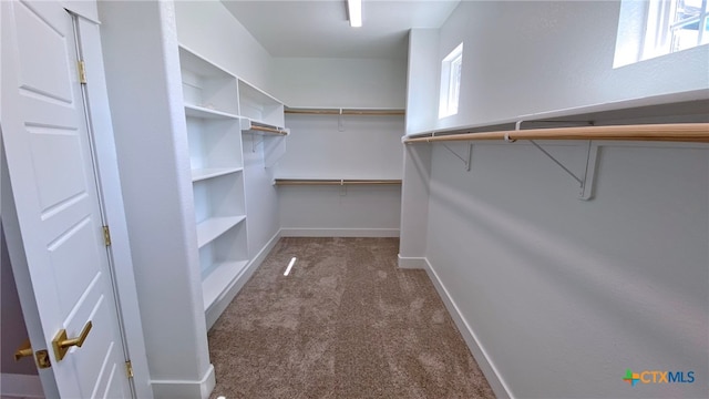 spacious closet with dark colored carpet