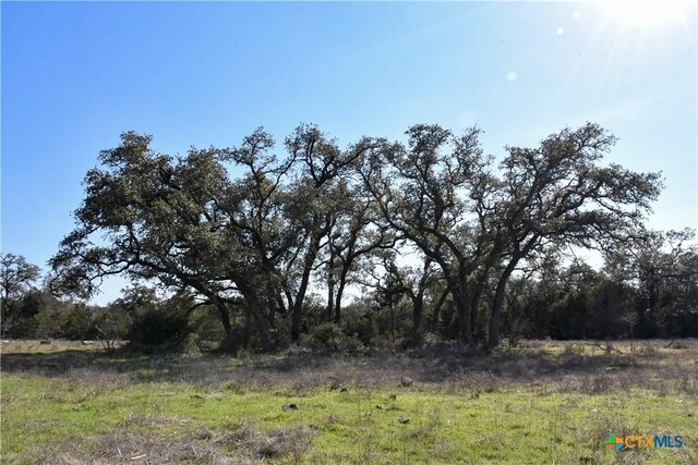 8841 Fm 306, New Braunfels, TX 78132 - photo 4