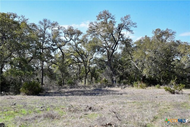 8841 Fm 306, New Braunfels, TX 78132 - photo 5