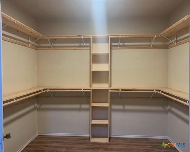 walk in closet featuring dark hardwood / wood-style floors