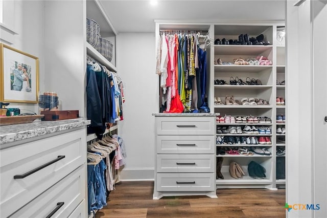 spacious closet with dark hardwood / wood-style flooring