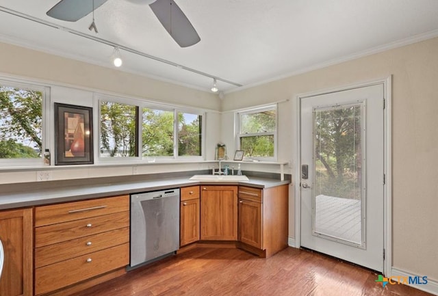 kitchen featuring track lighting, sink, hardwood / wood-style flooring, stainless steel dishwasher, and ceiling fan