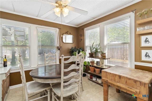 859 Pine St, New Braunfels, TX 78130 - dining room featuring healthy amount of natural light, a ceiling fan, light tile patterned floors, and crown molding
