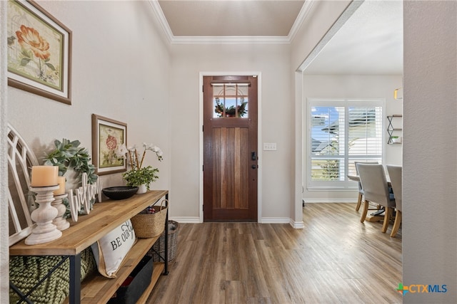 foyer entrance featuring wood-type flooring and crown molding