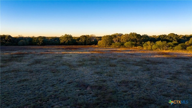 000 Hagan Mott, Yoakum, TX 77995 - photo 4