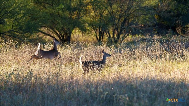000 Hagan Mott, Yoakum, TX 77995 - photo 20