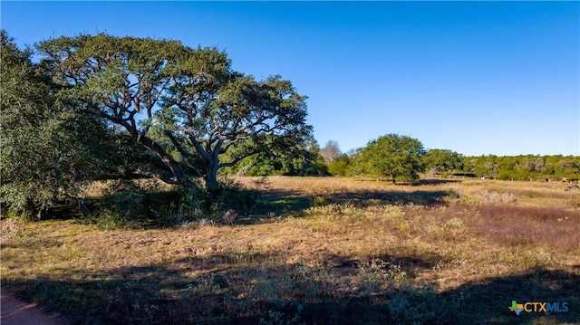 000 Hagan Mott, Yoakum, TX 77995 - photo 21