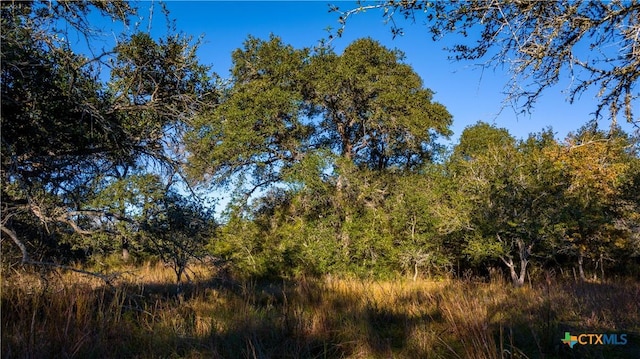 000 Hagan Mott, Yoakum, TX 77995 - photo 9