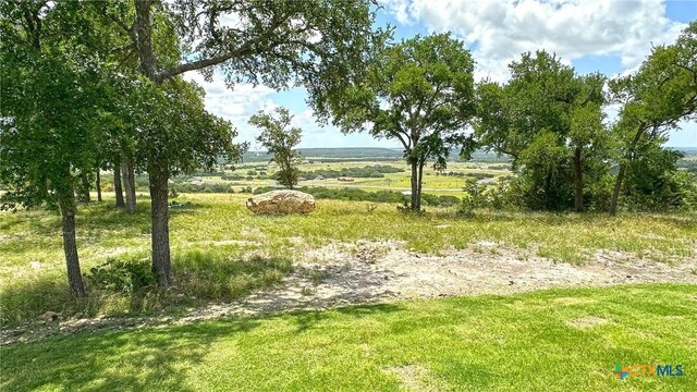 1725 Cottonwood Mesa Dr, Kempner, TX 76539 - photo 5