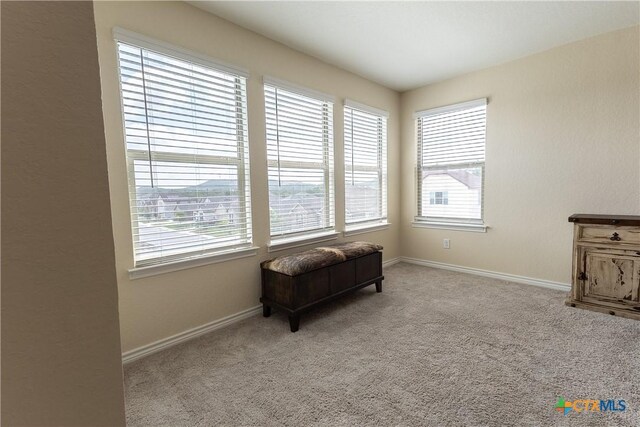 29906 Sestra, Bulverde, TX 78163 - photo 37