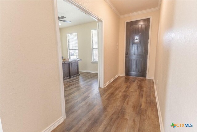 29906 Sestra, Bulverde, TX 78163 - photo 5