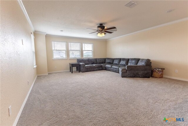 29906 Sestra, Bulverde, TX 78163 - photo 25