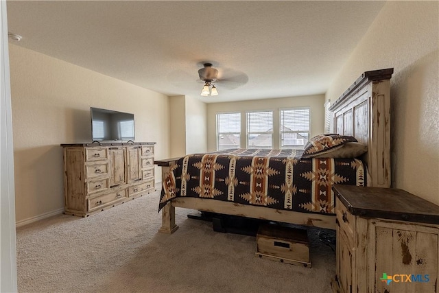 29906 Sestra, Bulverde, TX 78163 - photo 40