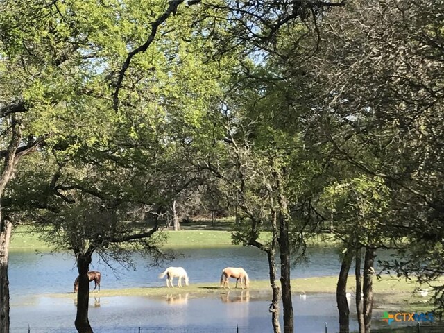 6101 County Road 208, Lampasas, TX 76550 - photo 32